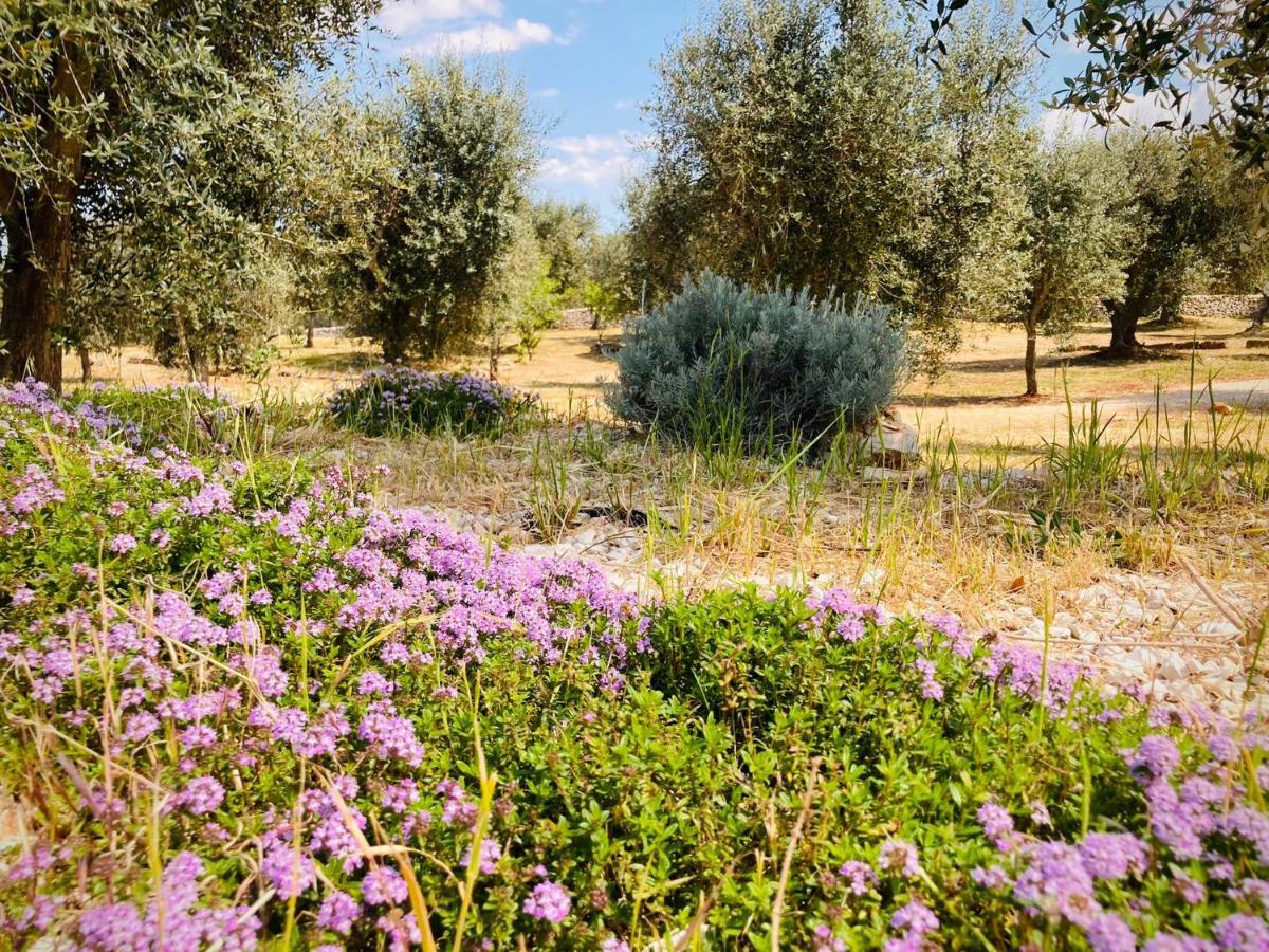 Willa Trulli Acquasala - Apulian Country Experience Ostuni Zewnętrze zdjęcie