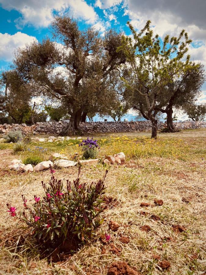 Willa Trulli Acquasala - Apulian Country Experience Ostuni Zewnętrze zdjęcie